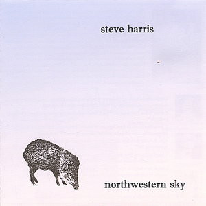 Northwestern Sky album cover
