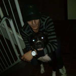 Avatar for Laksida