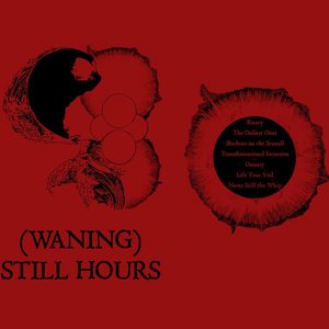STILL HOURS