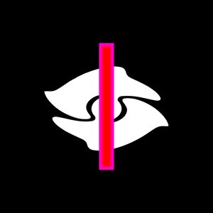 IICONS