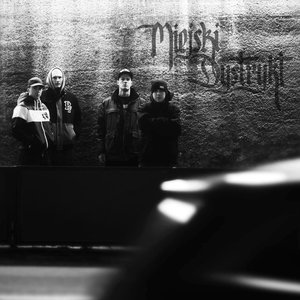 Avatar for Miejski Dystrykt