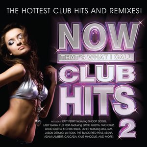 Now That's What I Call Club Hits 2
