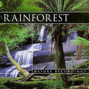 Rainforest