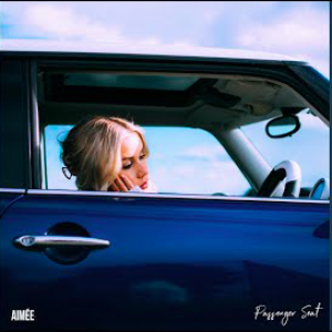 Artwork for Passenger Seat