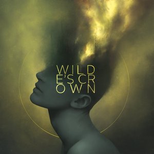 WILDE'S CROWN