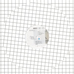 Nept Polarisation