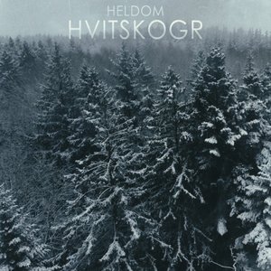 Hvitskogr