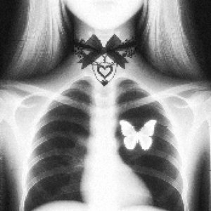 Avatar for NIGHTFXRCE