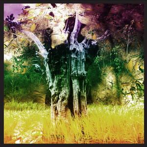 Meeting of the Waters by Animal Collective