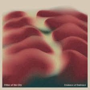 Evidence Of Embrace