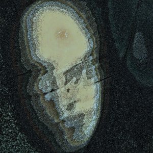 Avatar for experiMENTALien