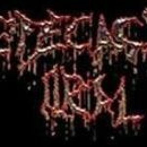 Avatar for Defecação Oral
