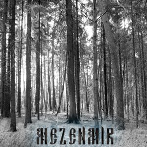 Avatar for Mezenmir