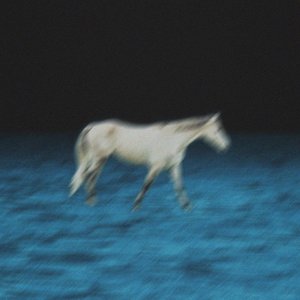 drown