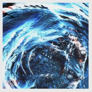 Blood in the Water