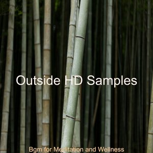 Avatar for Outside HD Samples