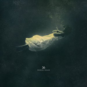 Reunion / Deluge - Single
