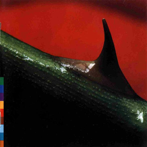 Night Songs by Nusrat Fateh Ali Khan & Michael Brook