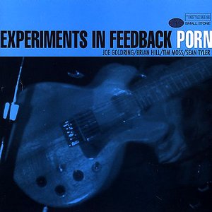 Experiments In Feedback