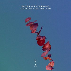 Looking for Shelter - Single