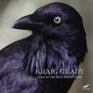 Crow on the Dark Side of Gloss