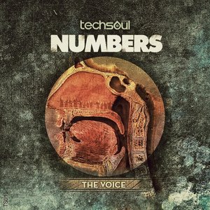 The Voice