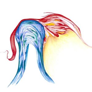 Avatar for pulga