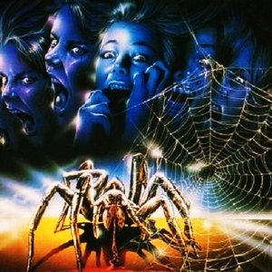 Spider Labyrinth