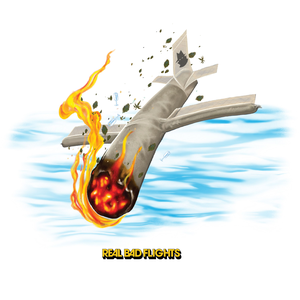 Real Bad Flights by Pink Siifu
