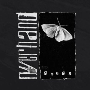 Gouge