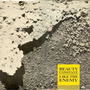 Like the Enemy