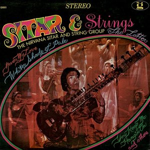 Avatar for The Nirvana Sitar and String Group
