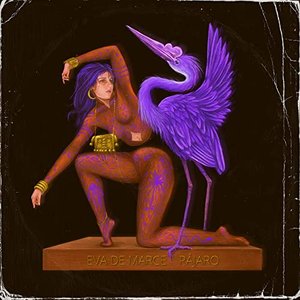 Pájaro
