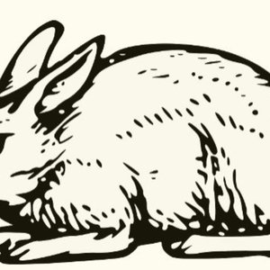 Avatar for Willow Tea