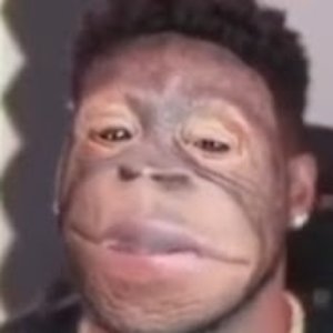 Avatar for LowTierTrolling