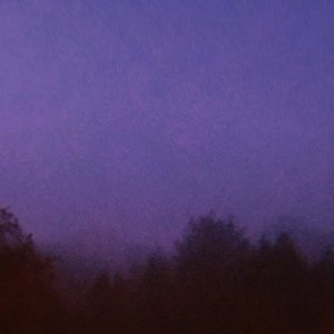 The Night Falls on You