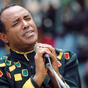 Avatar for TSEHAYE YOHANNES