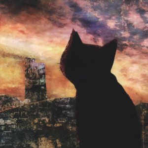 Avatar for szak, ryo, H.B STUDIO