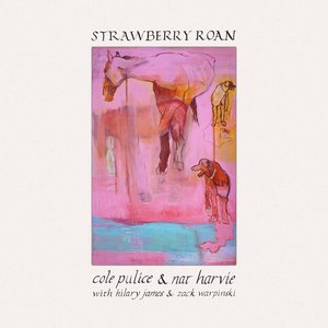 Strawberry Roan
