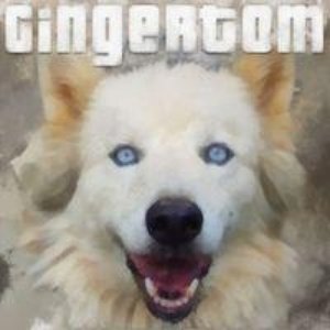 Avatar for GingerTom