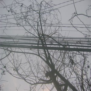 Ambient I