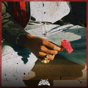 Love is Only a Feeling album cover