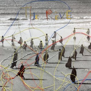The Rêve Orchestra için avatar