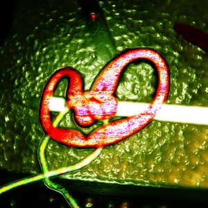 Avatar for Playlist Me