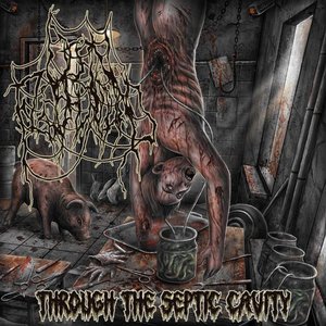 Through the Septic Cavity