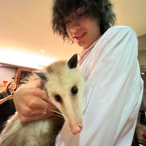 Avatar for rebouv