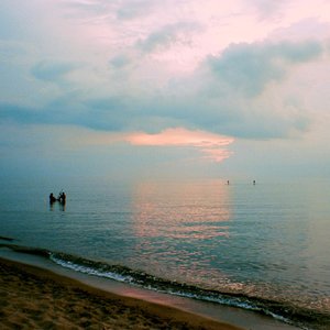 Pure Michigan