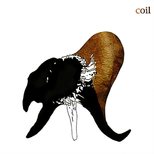 Black Antlers by Coil