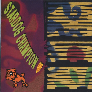 Stardog Champion album cover