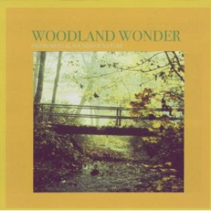 Woodland Wonder by Instrumental Sounds Of Nature